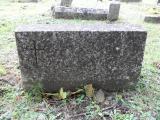 image of grave number 173499